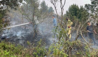 Kastamonu’da çıkan orman yangını kontrol altına alındı – Güncel haberler