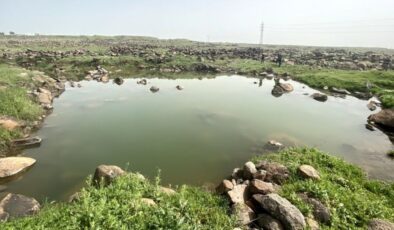 Şanlıurfa’da gölete giren 2 çocuk boğulma tehlikesi geçirdi – Güncel haberler