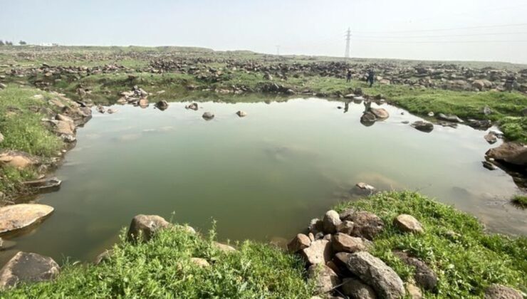 Şanlıurfa’da gölete giren 2 çocuk boğulma tehlikesi geçirdi – Güncel haberler
